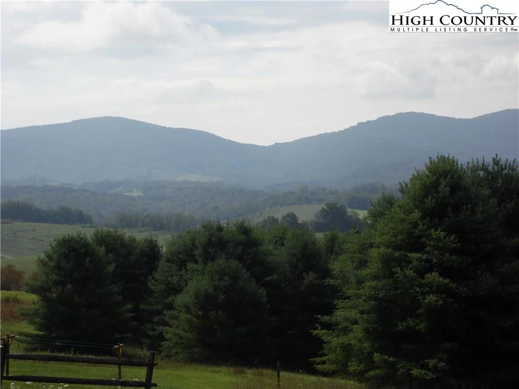 Image number 4 for the current listing