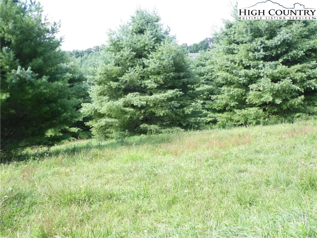Image number 5 for the current listing