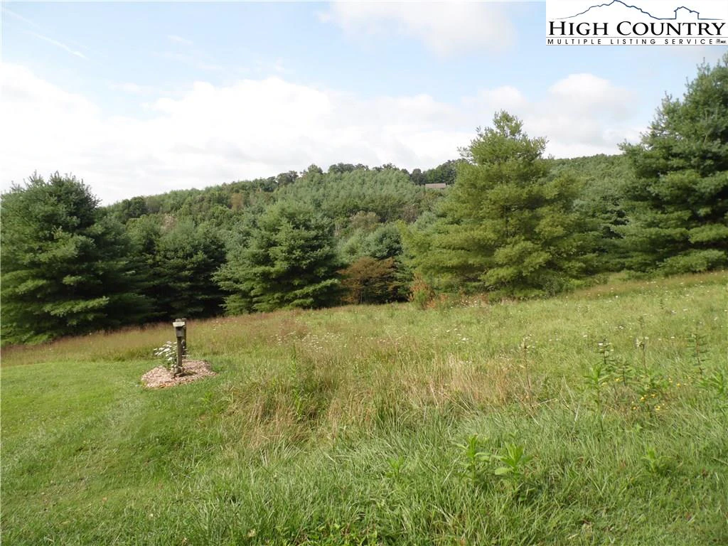 Image number 7 for the current listing