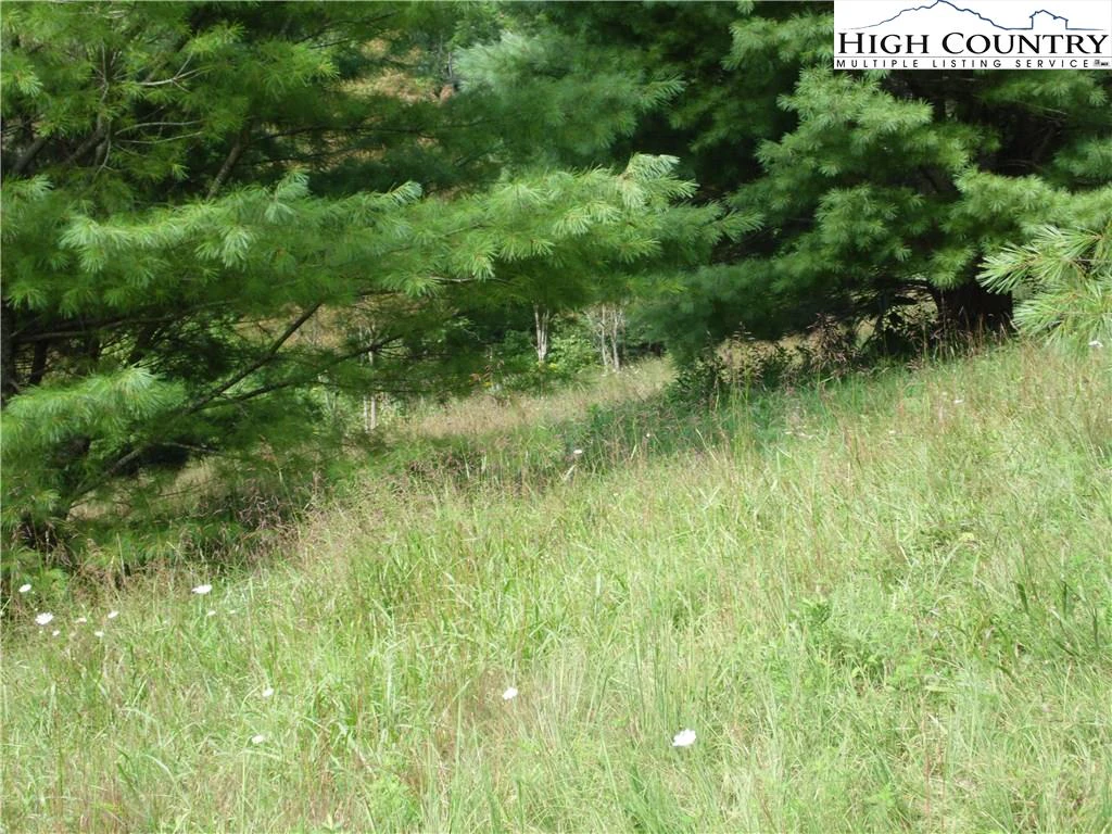 Image number 8 for the current listing