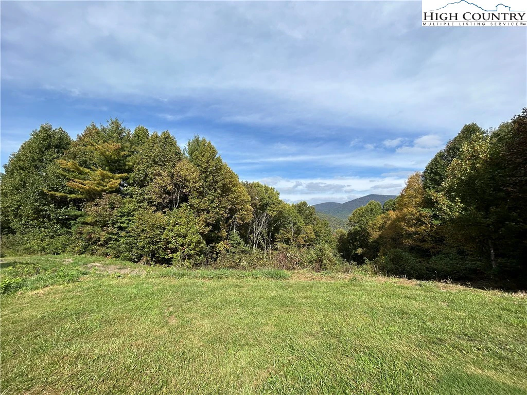 Image number 3 for the current listing