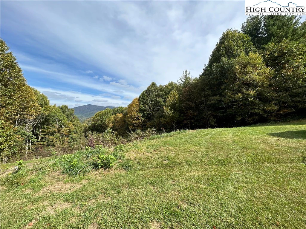 Image number 4 for the current listing