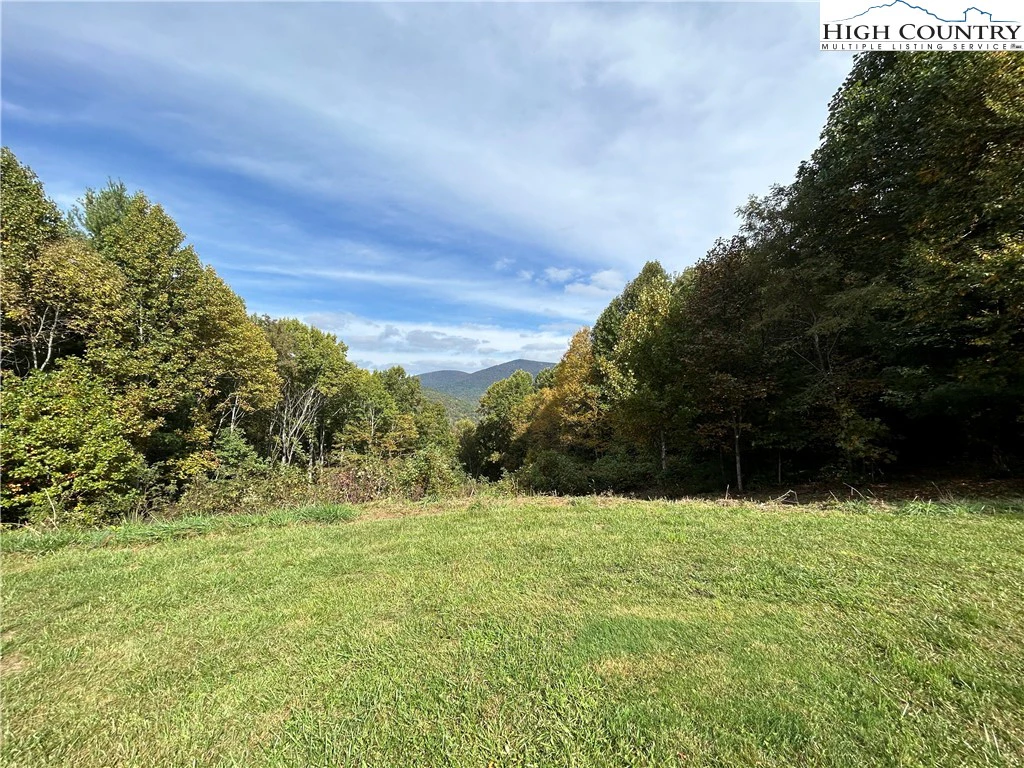 Image number 5 for the current listing