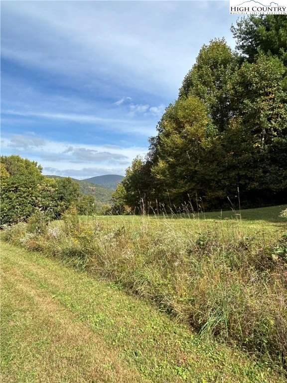 Image number 7 for the current listing