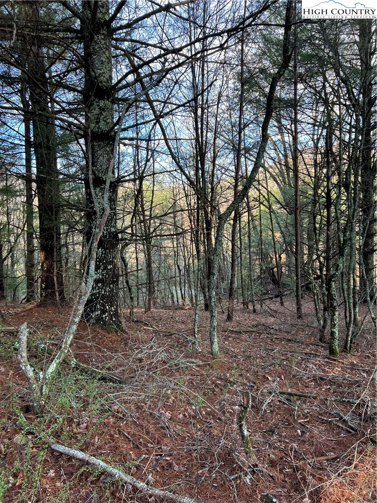 Image number 1 for the current listing