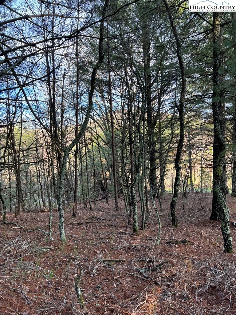 Image number 3 for the current listing