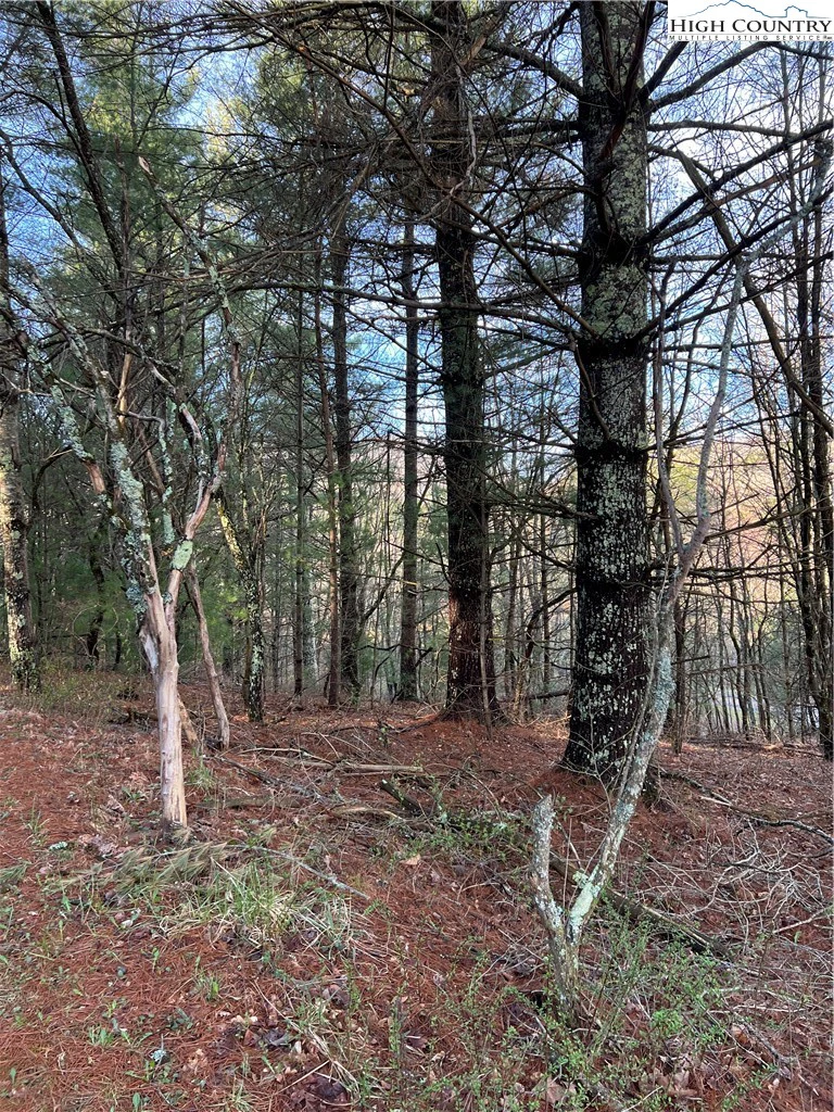 Image number 4 for the current listing