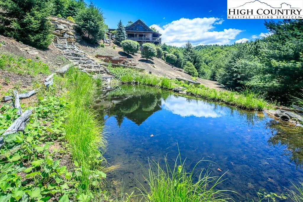 Image number 5 for the current listing