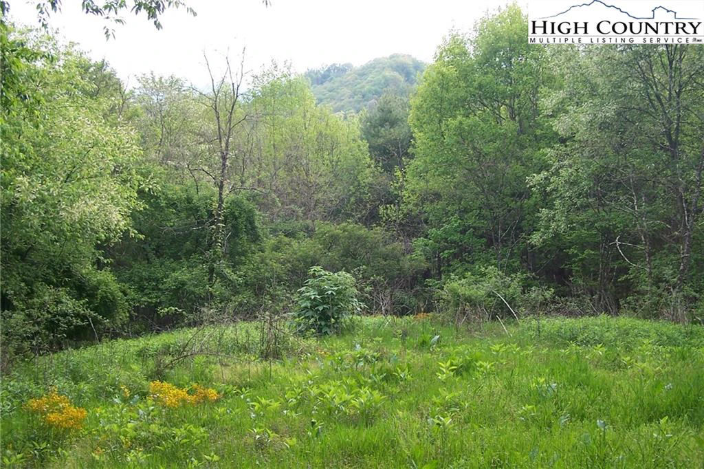 Image number 1 for the current listing