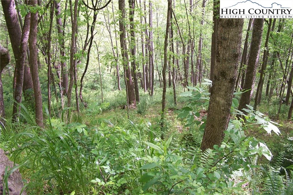 Image number 11 for the current listing
