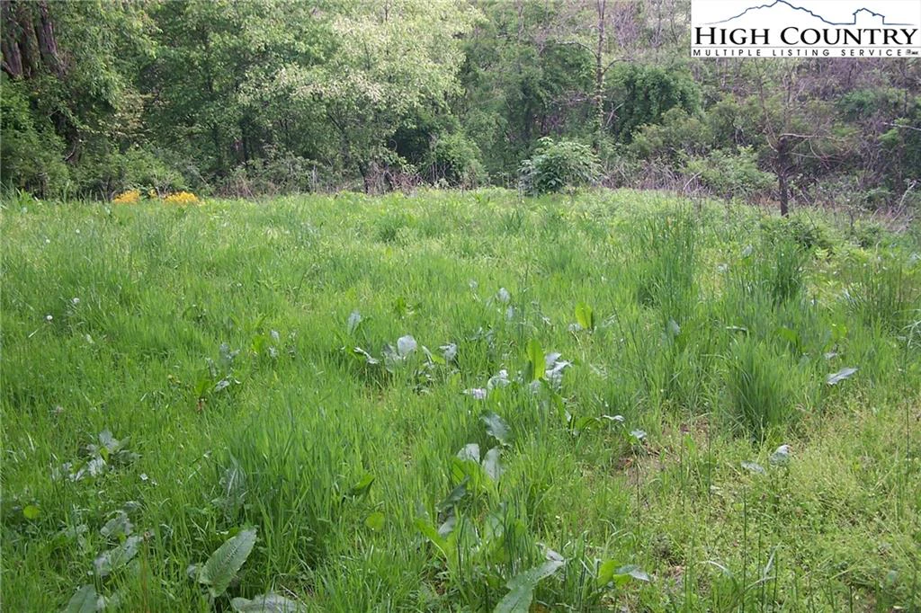 Image number 3 for the current listing