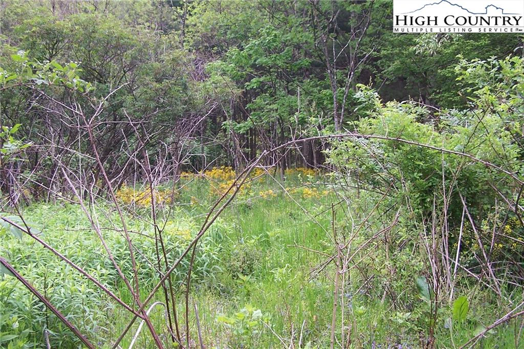 Image number 4 for the current listing