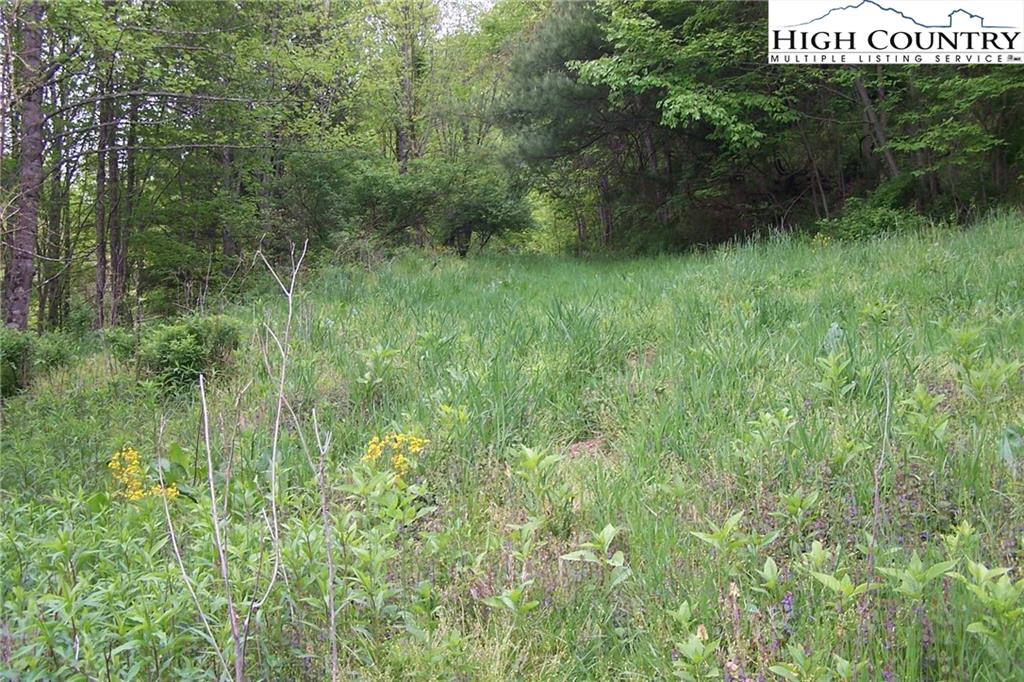Image number 5 for the current listing