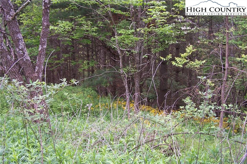 Image number 6 for the current listing