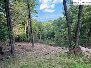 Image number 5 for the current listing