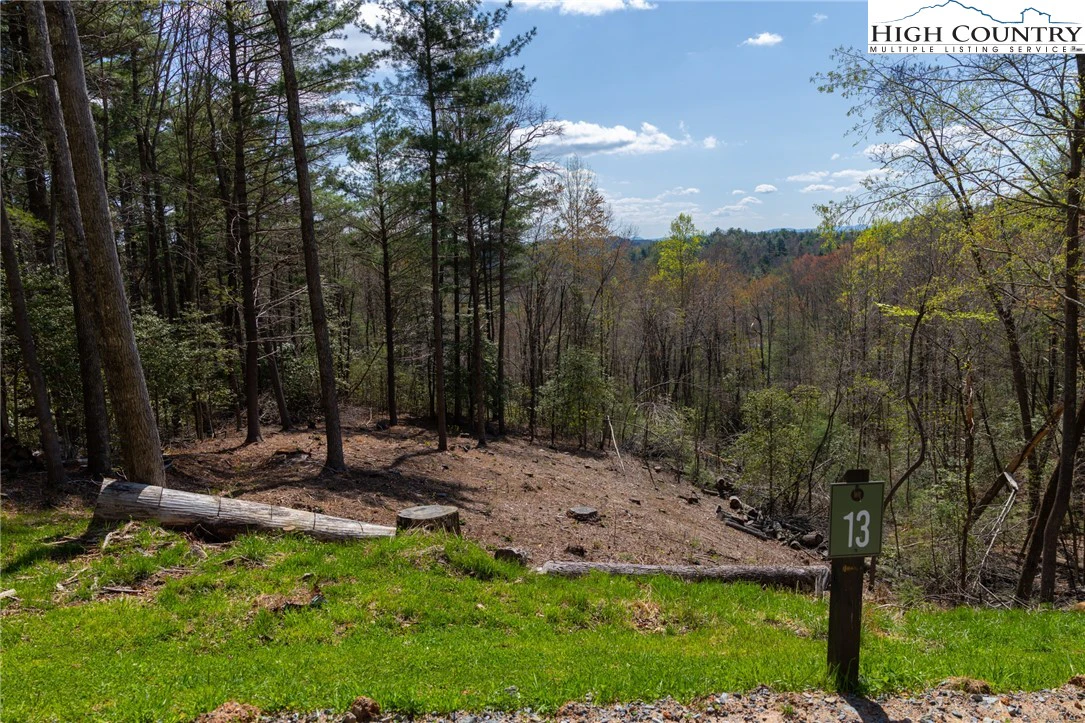 Image number 1 for the current listing