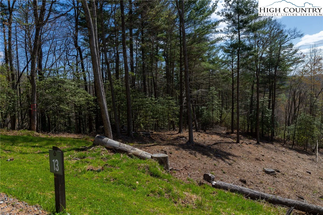 Image number 3 for the current listing