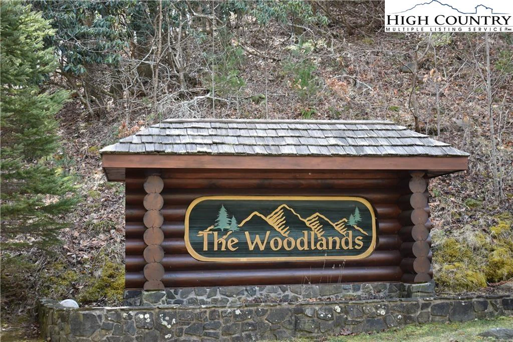 Image number 1 for the current listing