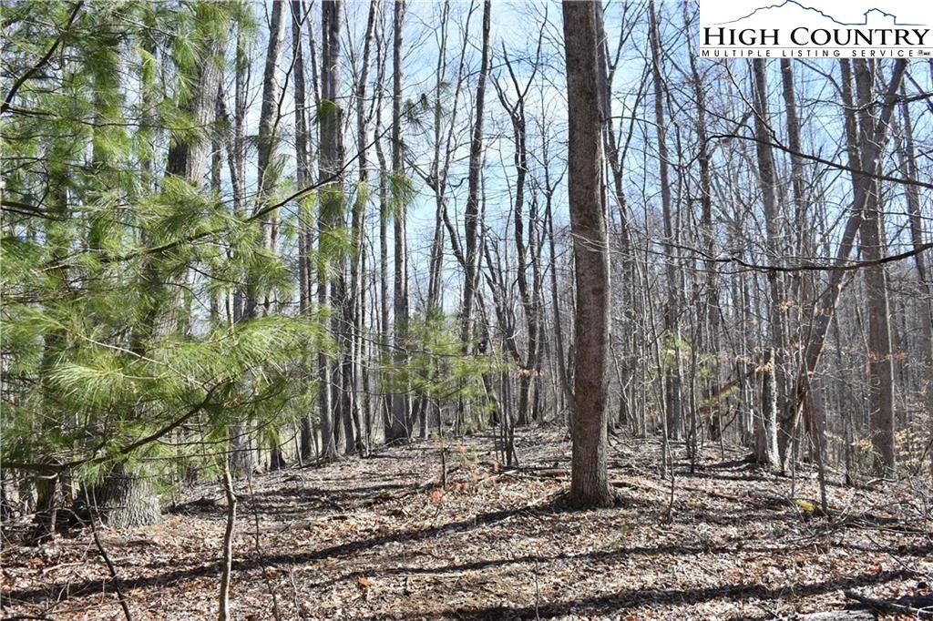 Image number 11 for the current listing