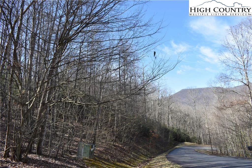 Image number 3 for the current listing