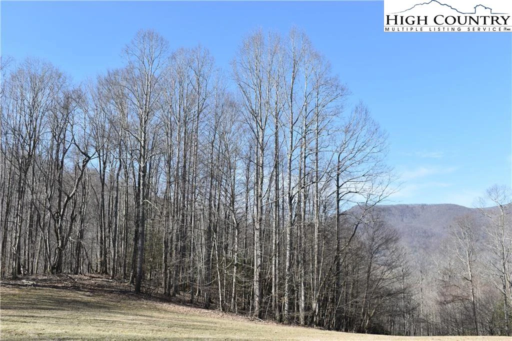 Image number 4 for the current listing