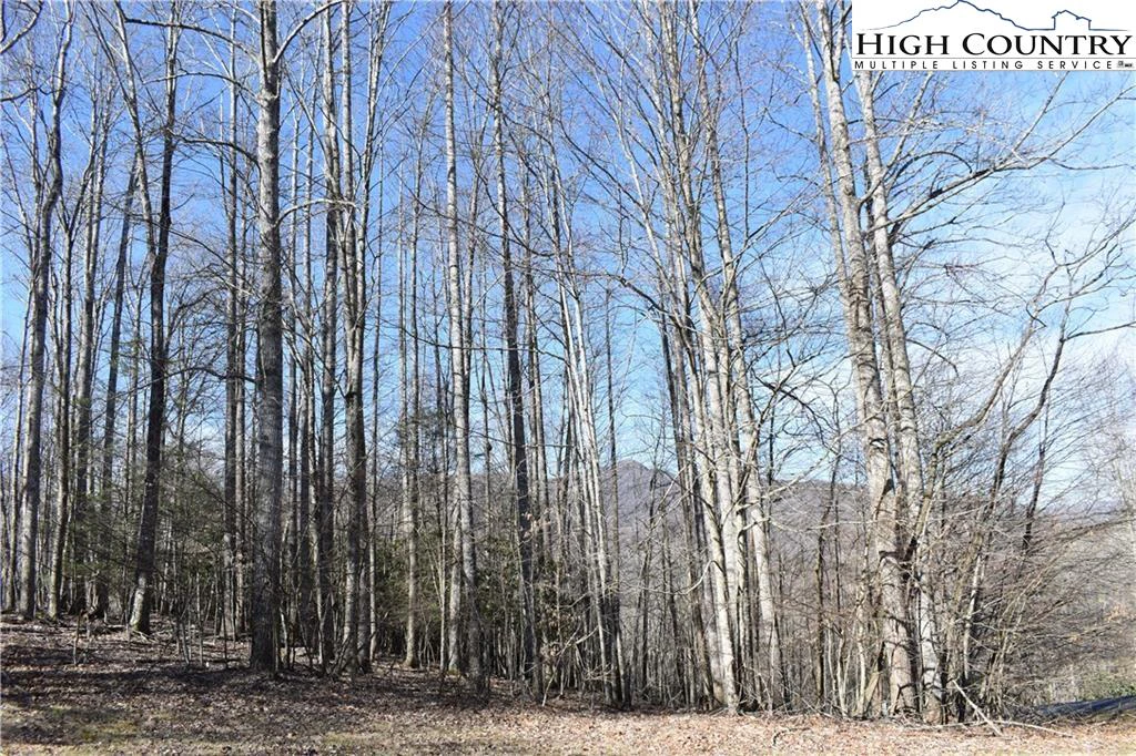 Image number 5 for the current listing