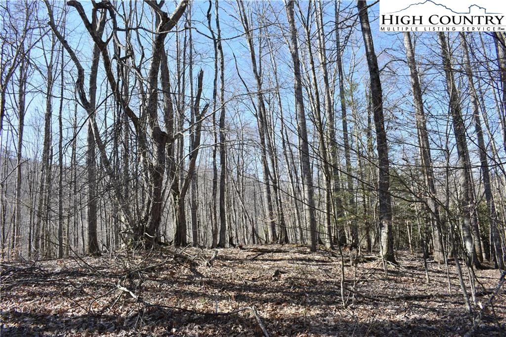 Image number 6 for the current listing