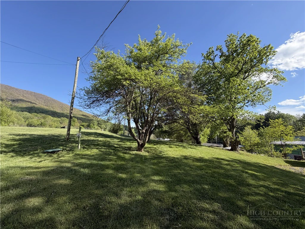 Image number 3 for the current listing