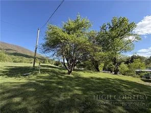 Image number 16 for the current listing