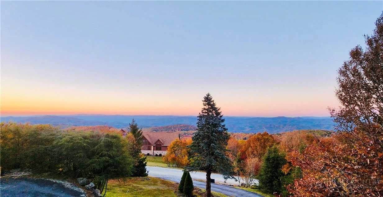 Image number 3 for the current listing