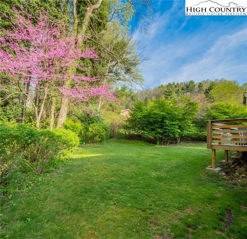 Image number 3 for the current listing