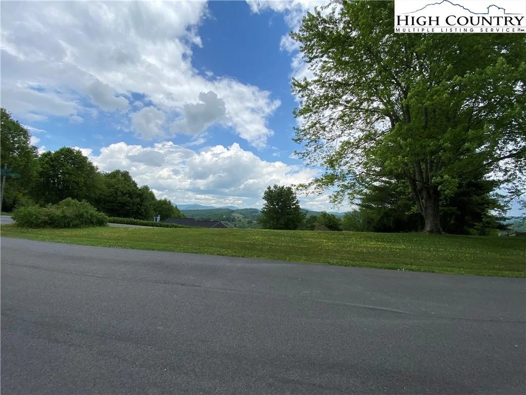 Image number 2 for the current listing