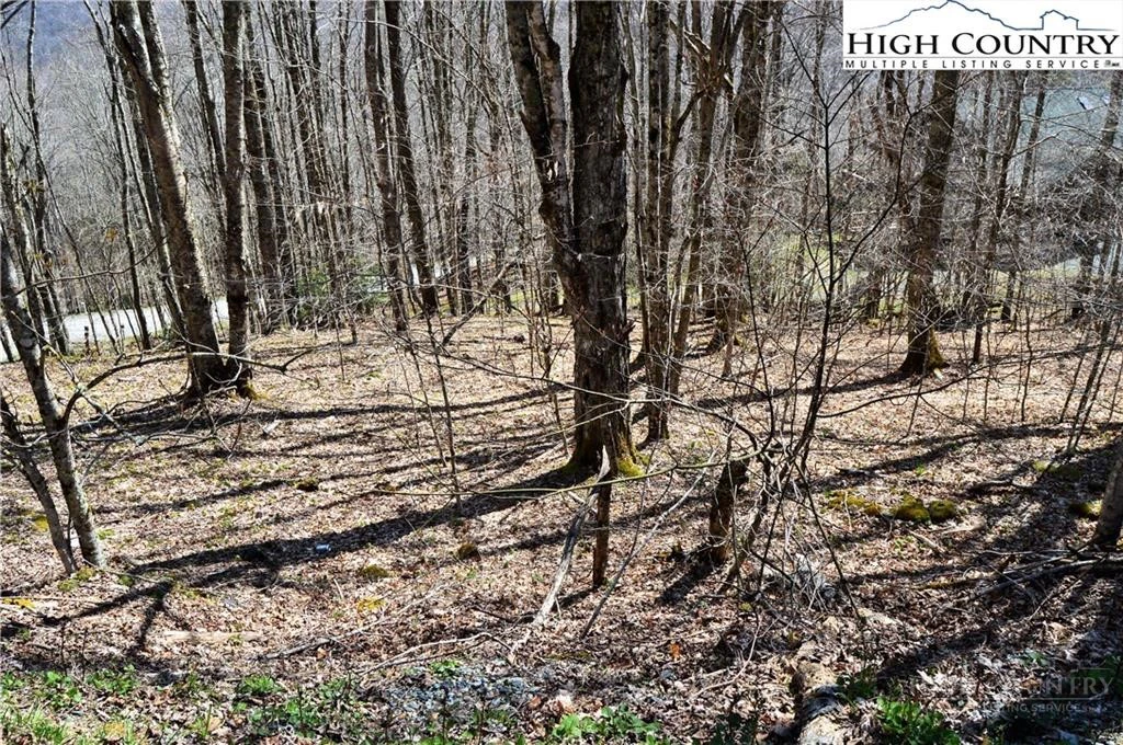 Image number 2 for the current listing