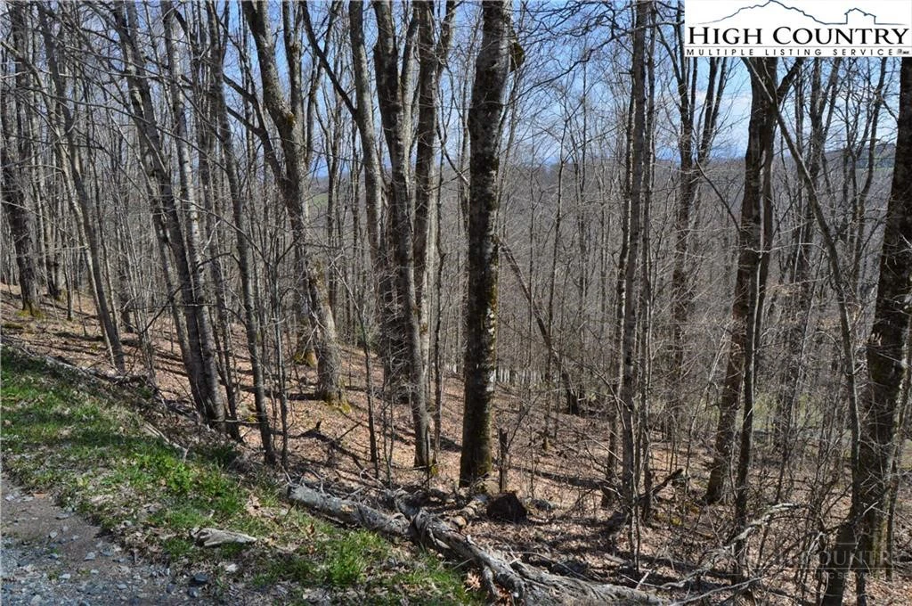 Image number 6 for the current listing