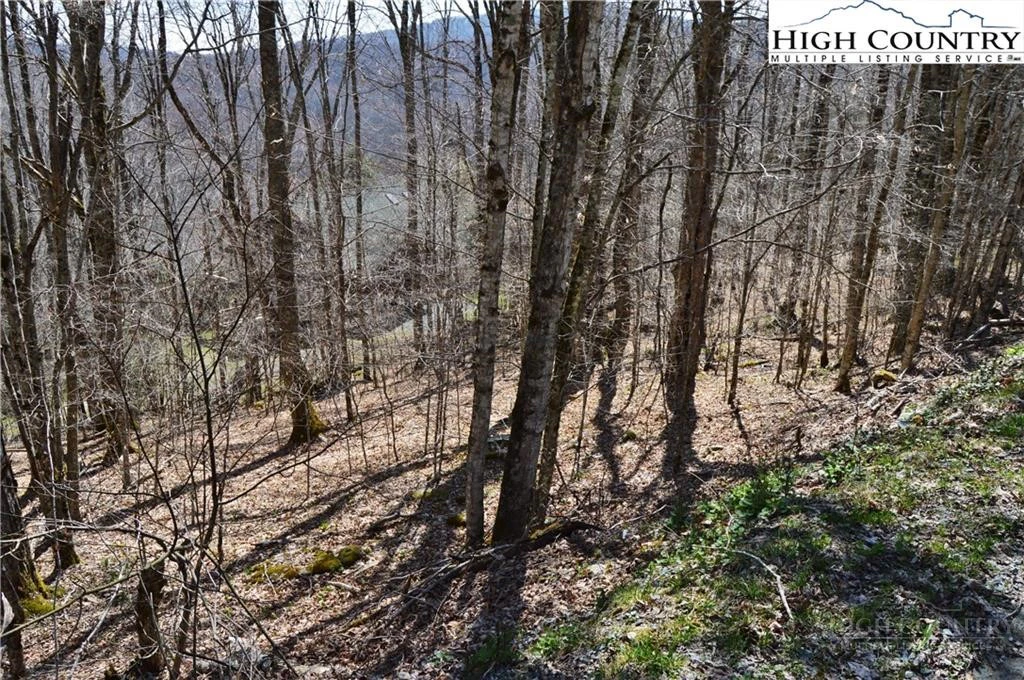 Image number 4 for the current listing