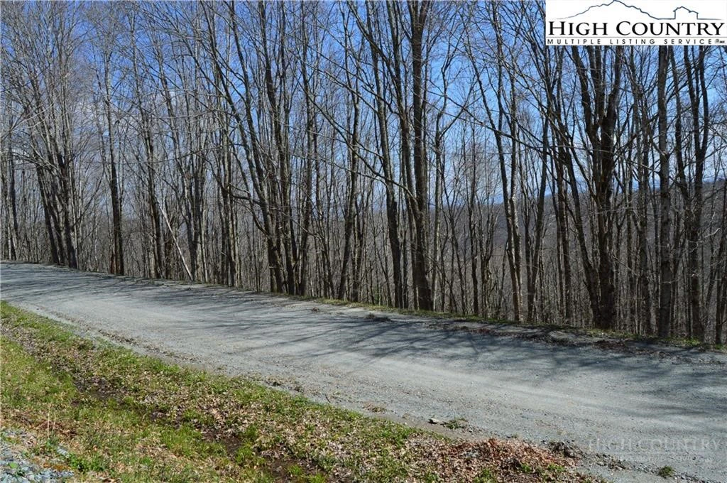Image number 8 for the current listing