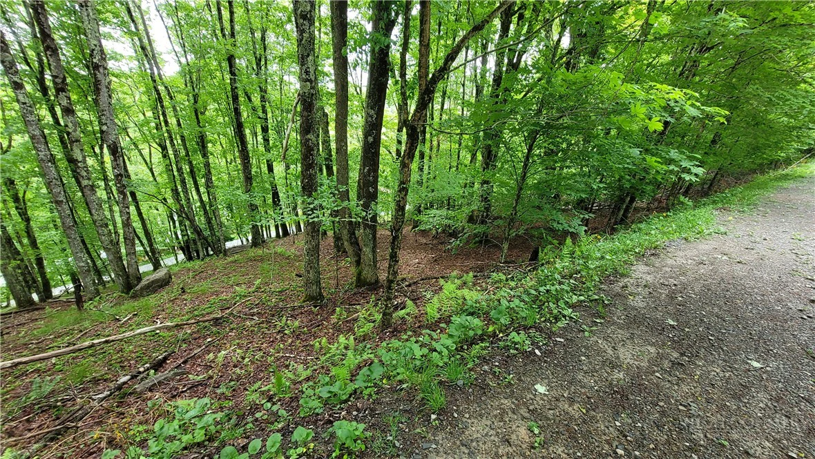 Image number 3 for the current listing