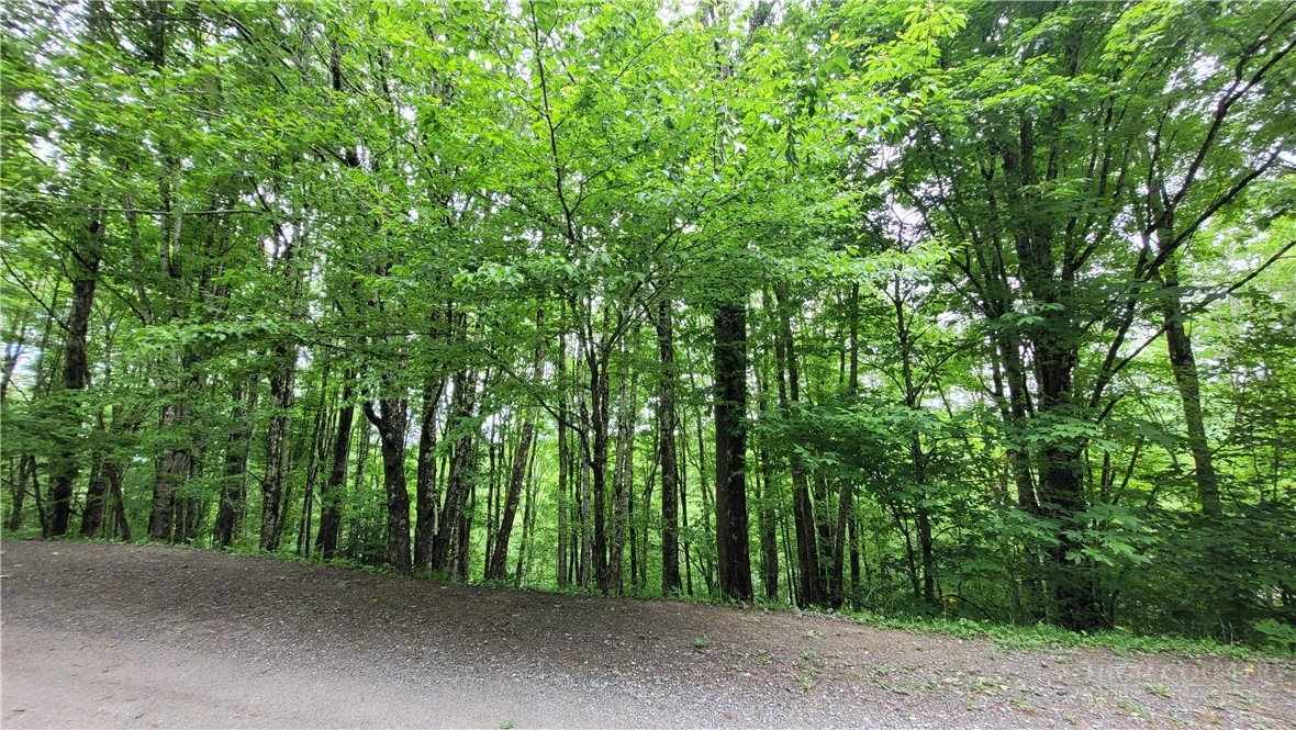 Image number 7 for the current listing