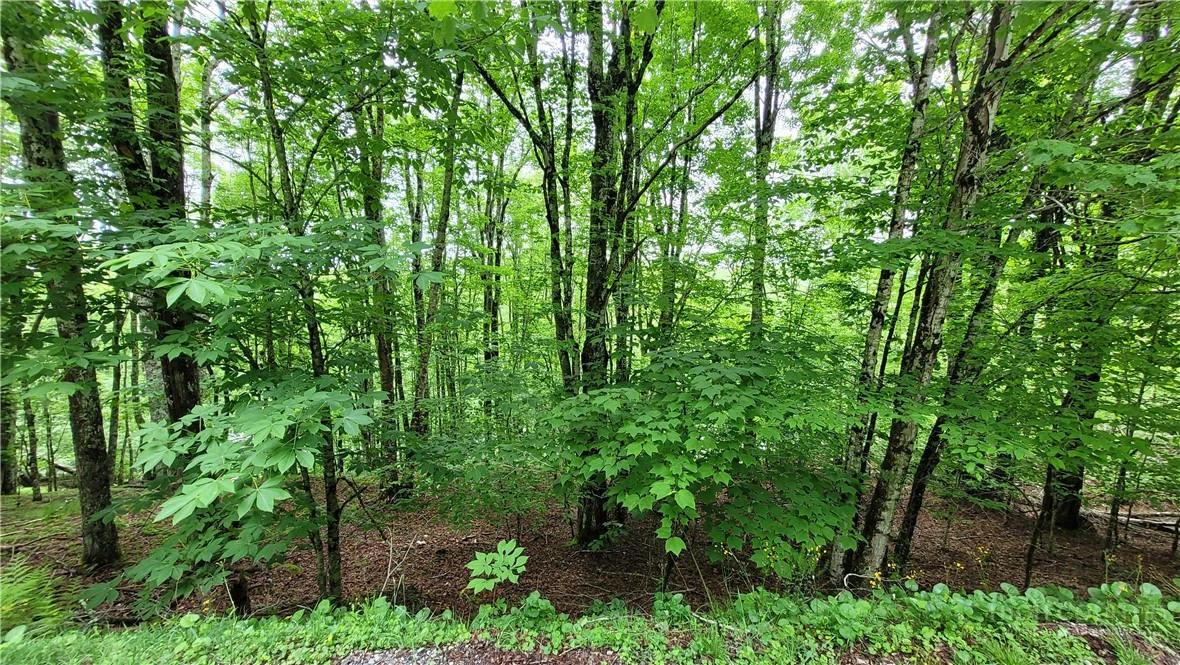 Image number 9 for the current listing