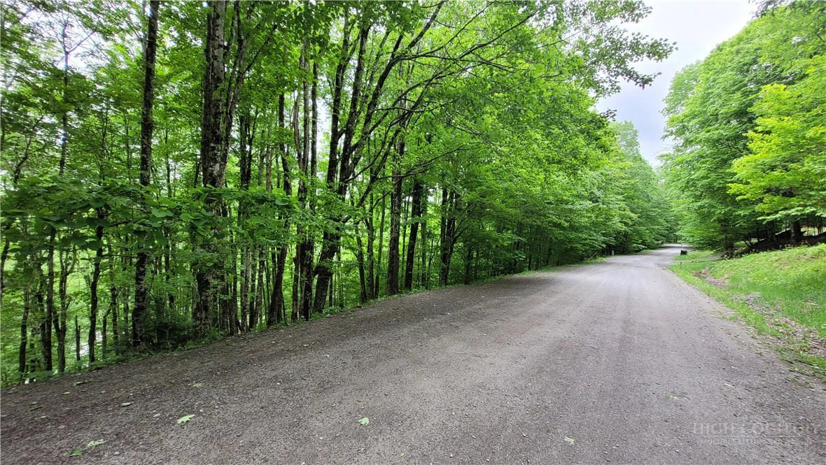 Image number 11 for the current listing