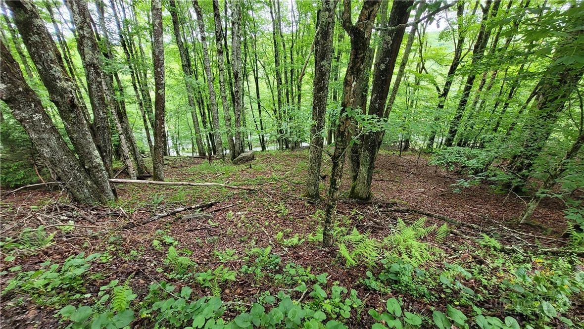 Image number 16 for the current listing