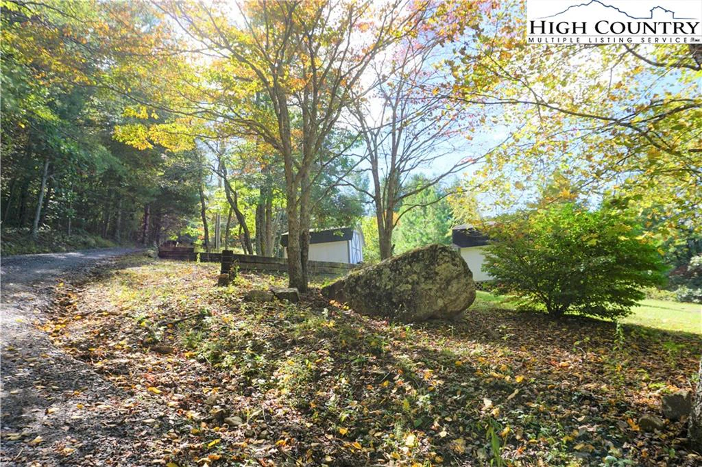 Image number 11 for the current listing