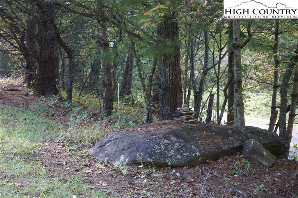 Image number 9 for the current listing