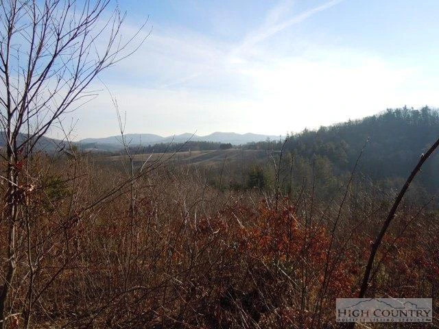 Image number 1 for the current listing
