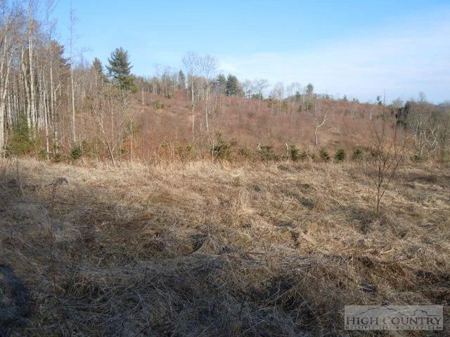 Image number 3 for the current listing
