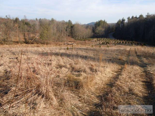 Image number 4 for the current listing