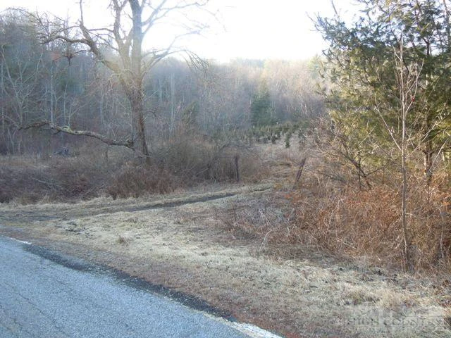 Image number 8 for the current listing