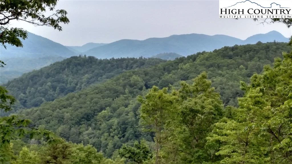 Image number 1 for the current listing