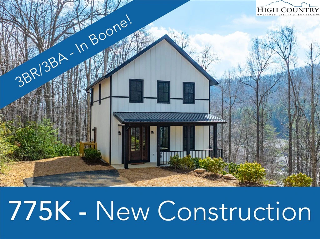 Image number 1 for the current listing
