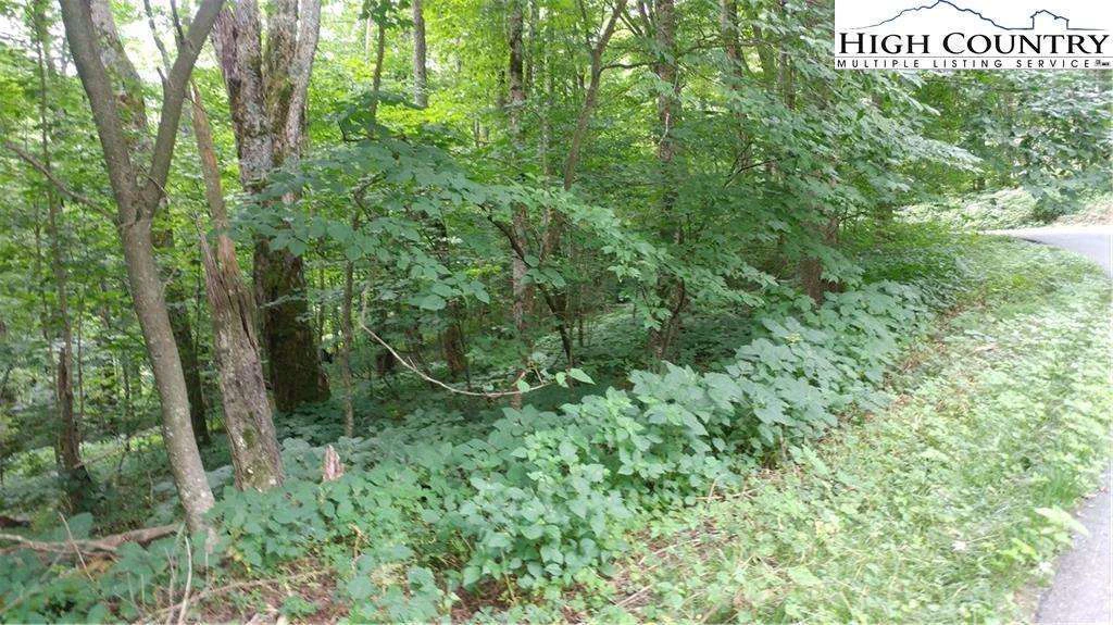 Image number 1 for the current listing